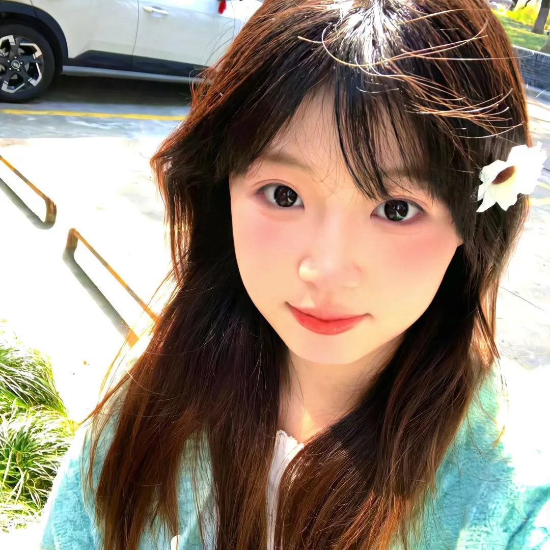 寻狗记